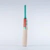 2024 Gray Nicolls Gem 2.0 300 Cricket Bat