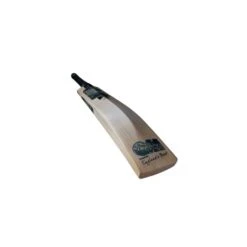 2024 Gunn And Moore Aion DXM 606 Junior Cricket Bat -Cricket Sales Store aion 3.4r rt medium 1 1