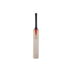 2024 Gray Nicolls Legend Junior Cricket Bat -Cricket Sales Store caaa19bat legend harrow handle front