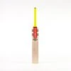2024 Gray Nicolls Tempesta 200 Junior Cricket Bat