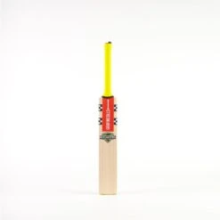 2024 Gray Nicolls Tempesta Cameo Junior Cricket Bat