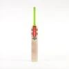 2024 Gray Nicolls Tempesta 1.3 200 Cricket Bat