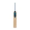 2024 Gunn And Moore Diamond DXM 808 Cricket Bat