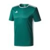 Adidas Entrada 18 Green Junior Training Jersey
