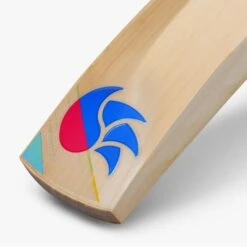 2023 DSC Intense Series 5000 Junior Cricket Bat -Cricket Sales Store intense english willow cricket bat 5 1 1