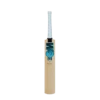 2023 Gunn And Moore BS55 Diamond DXM 101 Junior Cricket Bat