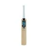 2024 Gunn And Moore BS55 Diamond DXM 101 Junior Cricket Bat