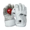 2023 Gunn And Moore Original Limited Edition Wicket Keeping Gloves