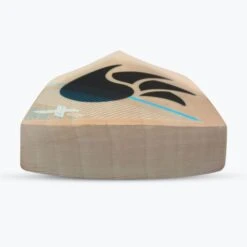 2024 DSC Xlite Series 2.0 Cricket Bat -Cricket Sales Store xlite 2.0 english willow cricket bat 6