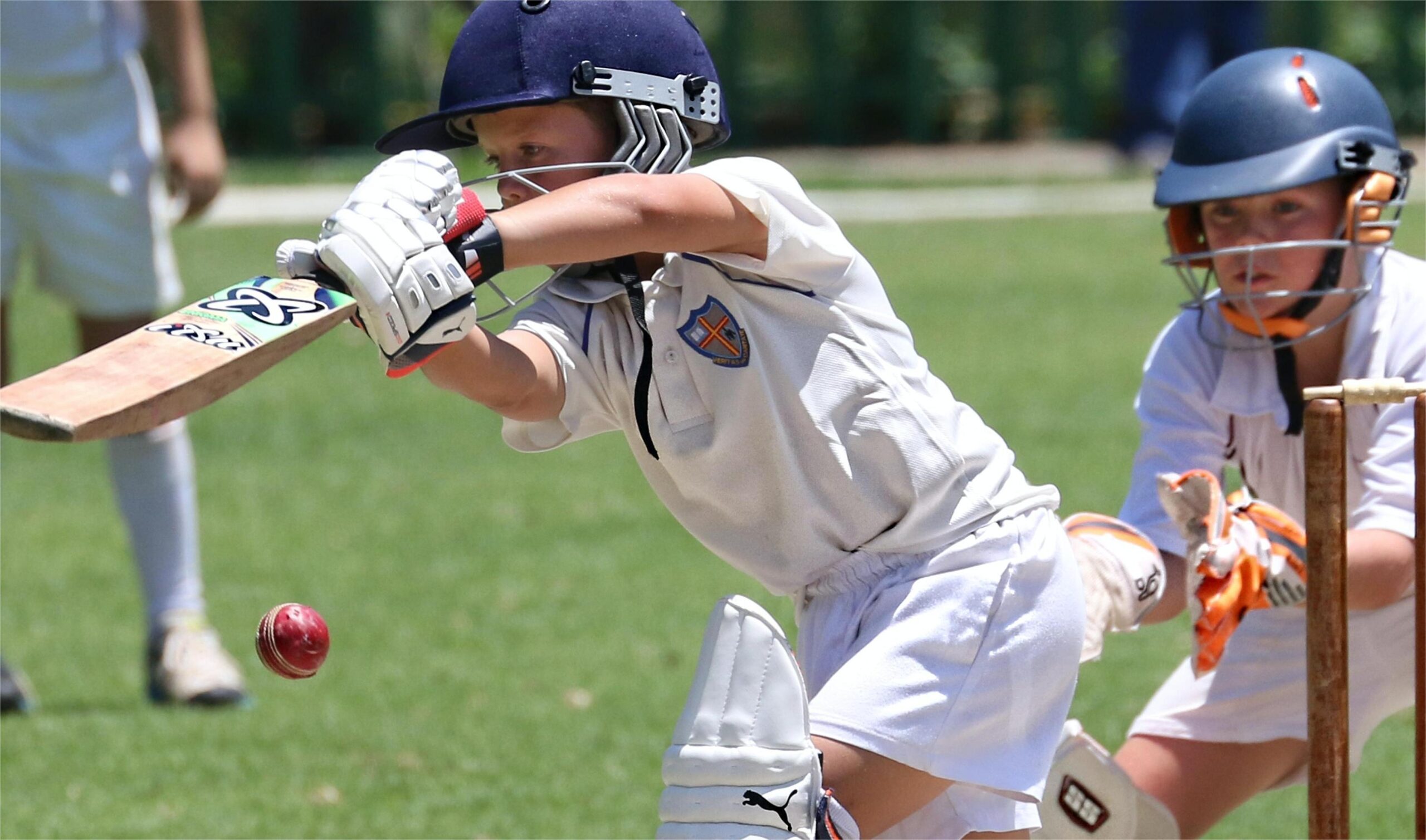 Cricket Sales Store 2 Cricket Sales Store -Cricket Sales Store pexels patrick case 3628912 scaled